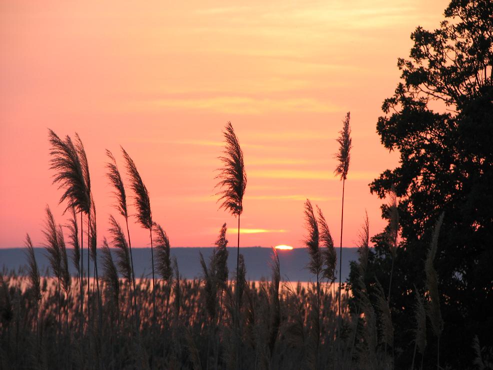 Fotoğraf Galerilerim